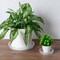 6-Pack 14-Inch Plastic Plant Saucers – Heavy-Duty Drip Trays for Indoor & Outdoor Potted Plants, Transparent Flower Pot Tray Protectors (Clear)